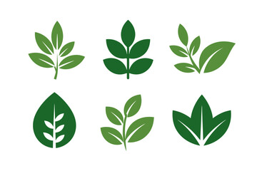 Green leaf vector set botanical nature elements