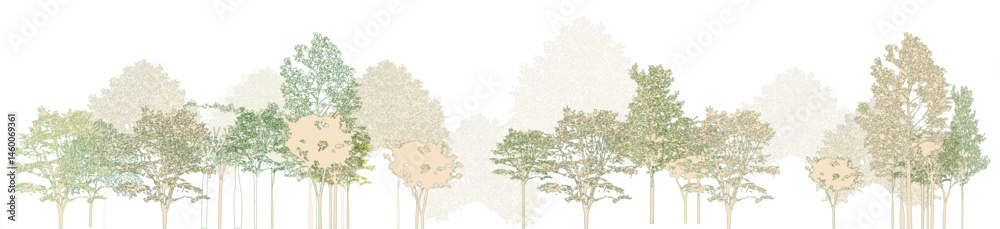 Poster architectural drawings, minimal style cad tree line drawing, side view, set of section wetland fores