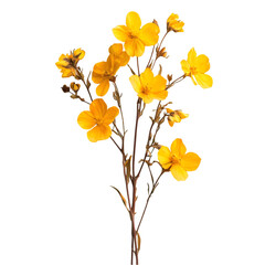 Bright Yellow Flowers Dark Background Botanical Beauty Floral Delight