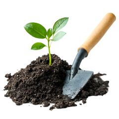 Young Plant Sprout in Soil with Trowel Gardening Growth Nature