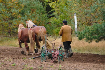 Tillage using horse-drawn carriages