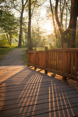 Golden Hour Glow: Sunlit bridge in serene forest landscape with warm light and inviting trail