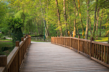 Obraz premium Wooden bridge leading to a lush green forest Tranquil pathway through nature