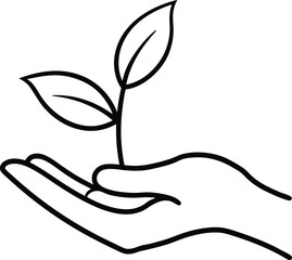 hand holding a plant