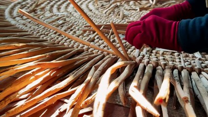 Weaving a basket from reeds. Close-up of women's hands weaving reeds
