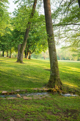 Peaceful park scene with a small stream running through the lush green grass beneath mature trees Nature's beauty and tranquility abound