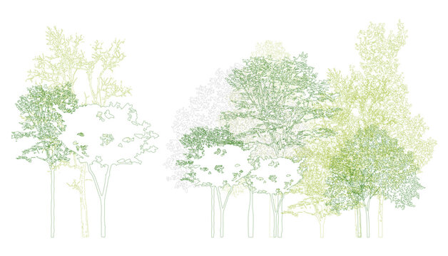 Architectural Drawings, Minimal style cad tree line drawing, Side view, set of section wildlife forest outline symbol for landscape design drawing. Vector illustration in stroke fill in white.
