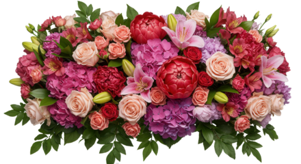 "Realistic White Daisy Flower Isolated on White Background"