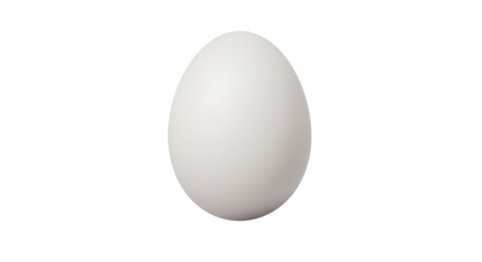White egg isolated on white background