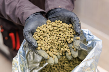 Close-up of hands in gloves holding hops pellets