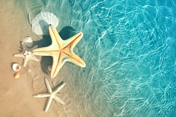 Starfish and seashells on the summer beach in sea water. Summer blue ocean background. Summer time