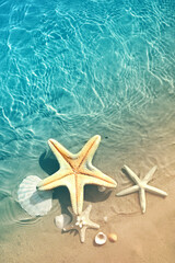 Starfish and seashells on the summer beach in sea water. Summer blue ocean background. Summer time