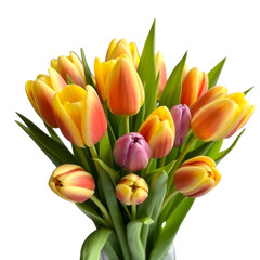 Fototapeta premium Bouquet of colorful tulips on a transparent background isolated png clipart 