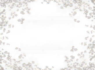 Branch png. Branches png. Frame of branch. Magnolia, apple tree, white flower, Cherry blossom spring summer tree. Space for text, transparent background, cutout	