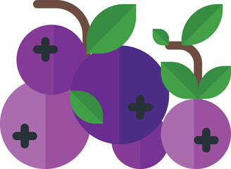 blueberry illustration on a white background    