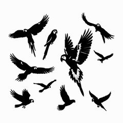 Obraz premium Macaw parrot silhouette collection exotic bird illustrations