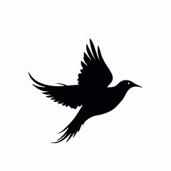 Obraz premium Silhouette illustration of a bird in flight isolated on white background