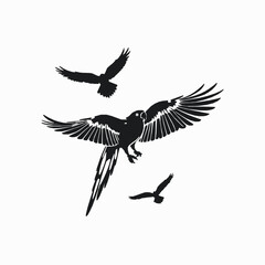 Obraz premium Birds in flight silhouette illustration graphic resource with parrot and hawks elegant design element simple bird pattern