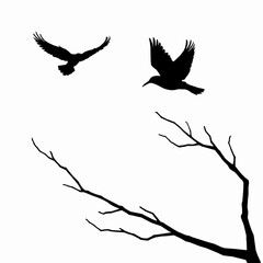 Fototapeta premium Silhouette birds flying over bare tree branches in minimalist style