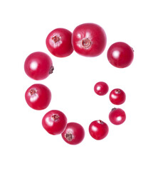Ripe juicy cranberries floating in the air close-up on a white background.