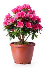 element, symbol, art, design, decoration, holiday, illustration, vector