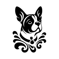 Elegant Boston Terrier Portrait, Black and White Vector, Ornamental Collar