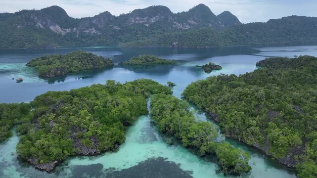 Limestone islands surround a beautiful bay in Pelee, Raja Ampat. This tropical region is a popular destination for divers and snorkelers due to its extraordinary marine biodiversity.