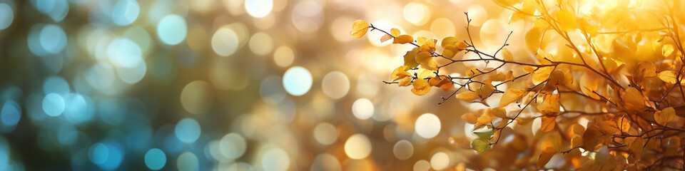 Obraz premium Blurred out fall seasonal abstract nature banner with copy space