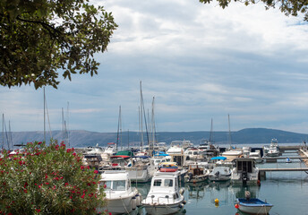 boats docked in marina with mountain background

