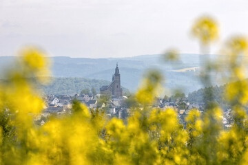 Frühlingshafte Ansicht von Schneeberg mit der St. Wolfgangskirche