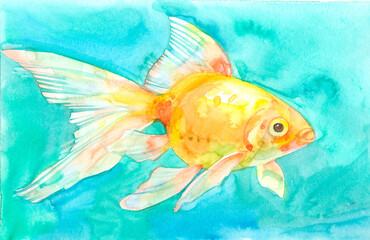 Yellow goldfish on a blue background, hand painted with watercolors.