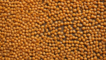 Fototapeta premium Close-up of split yellow peas, textured background, organic, yellow peas, dietary