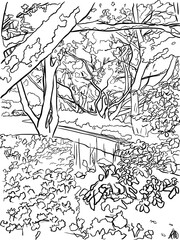 Tree Cover Sketch