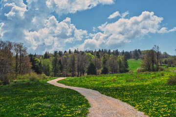 chemin de campagne et pâturage au Salève