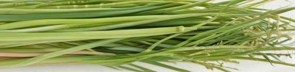 Fototapeta premium A cluster of fresh lemongrass stalks isolated on white , vibrant, photography, ingredient