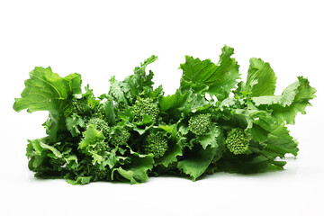 Fresh Broccoli Rabe on white background