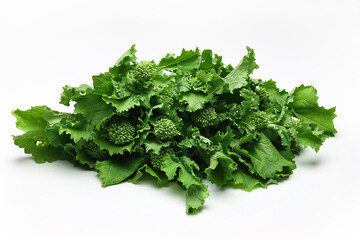 Fresh Broccoli Rabe on white background