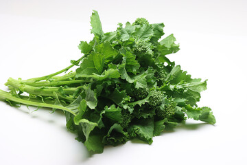 Fresh Broccoli Rabe on white background