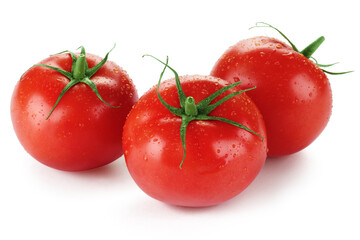 Fresh Tomatoes on the vine on white background