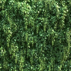 Lush green foliage wall (1)