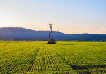 serene landscape with green field and power lines
