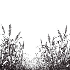 Fototapeta premium 2D flat vector illustration of Cornfield, isolated on a white background.