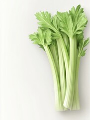 Fototapeta premium Fresh celery stalks isolated on white background 
