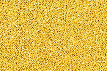 Raw millet grains. Yellow organic cereal background texture. Healthy vegan food ingredient used in porridge, baking, and gluten-free recipes.