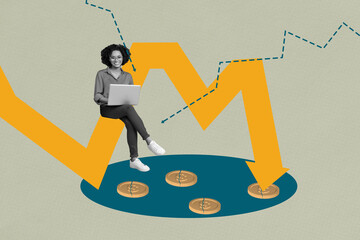 Contemporary artwork collage of happy businesswoman sit arrow hold laptop decline crack coin dollar...