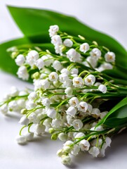 Small delicate clusters of lily of the valley flowers on white backdrop