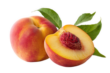 Fresh juicy ripe peaches with green leaves isolated on red food leaf life on transparent background