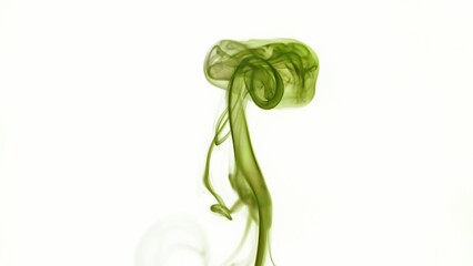 Abstract Swirling Green Smoke on a Light Background