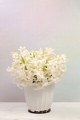 Abstract floral arrangement. Beautiful flyer with snow-white hyacinths and blue muscari in a vase on an elegant modern background, template for design and screen. Spring card, gift for loved ones.