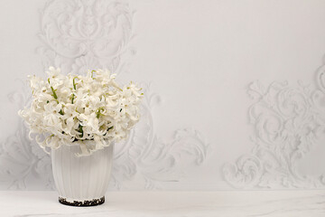 Abstract floral composition. Beautiful banner with snow-white hyacinths and blue muscari in a vase on an elegant modern background, template for design and screen. Spring card, gift for loved ones.